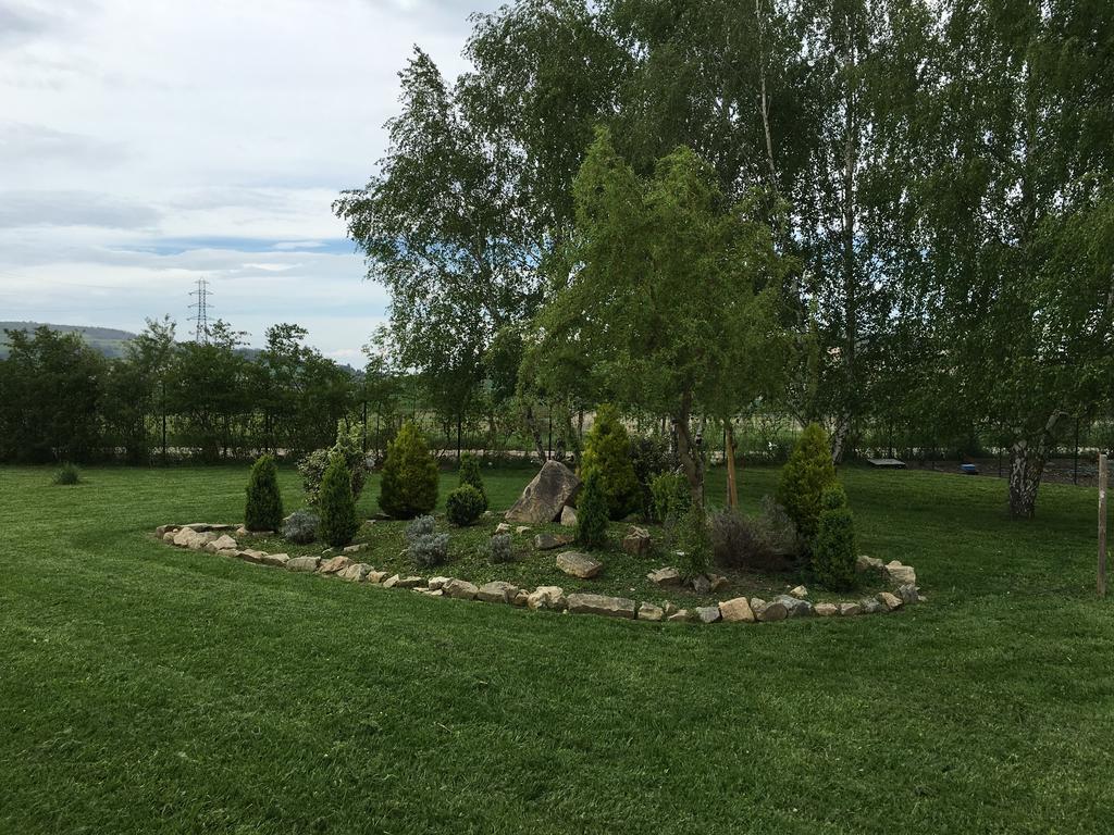 Chevrerie Des Oliviers Villa Saint-Georges-sur-Allier Eksteriør billede